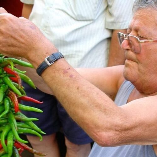 Flavor-of-Italy-Calabria-Food-Tour-Stringing up peperoncini