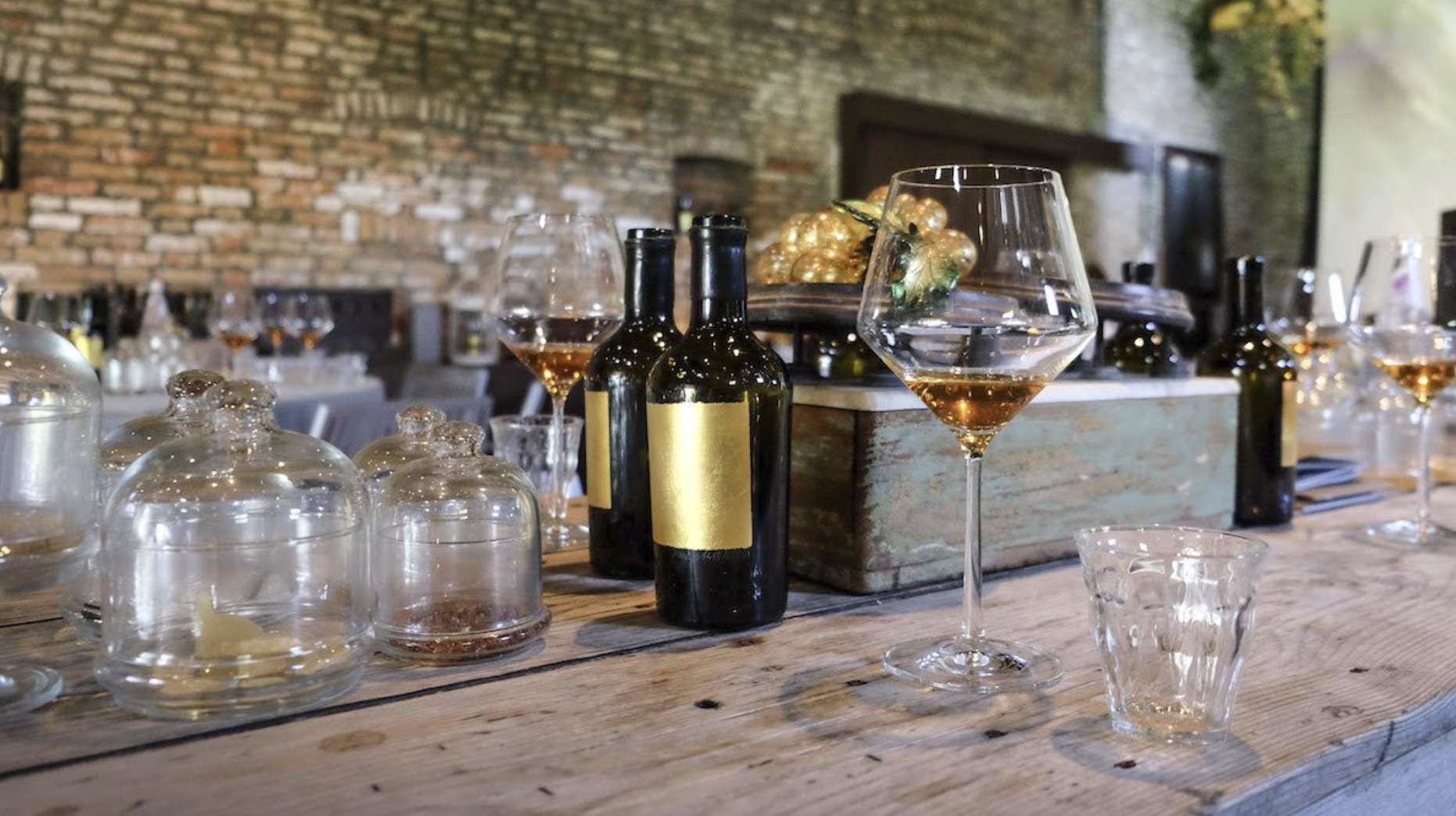 Venice insider's guide to the best wines + 4 wineries to visit
