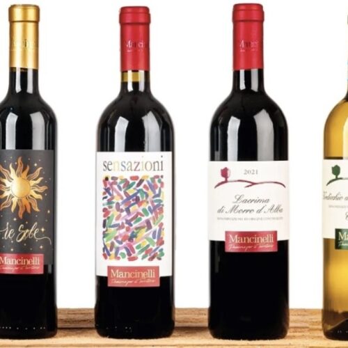 Marche Wine: the Mancinelli family winery located in Morro d'Alba