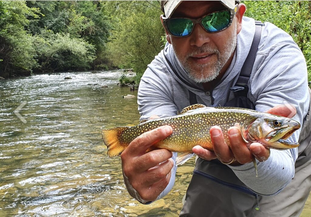 Photo credit: Italy on the Fly