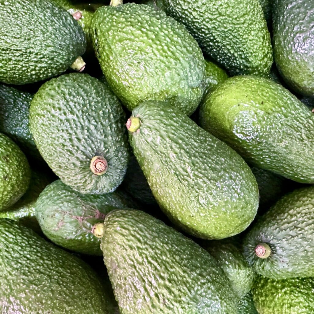 Sicilian Avocados