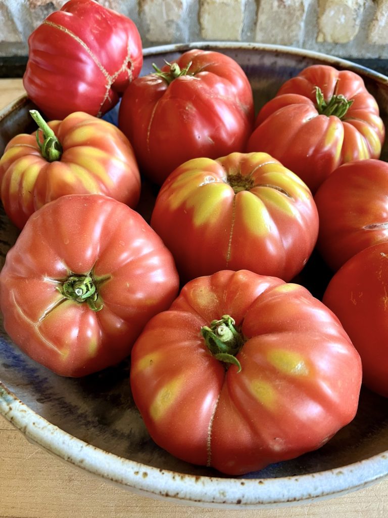 garden tomatoes
