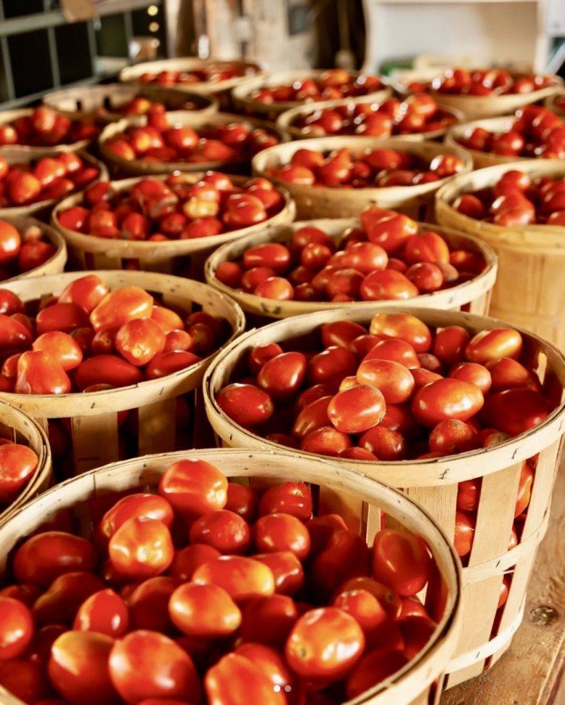 Tomatoes in baskets