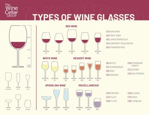 The Wine Cellar Group Guide to the right wine glass shape