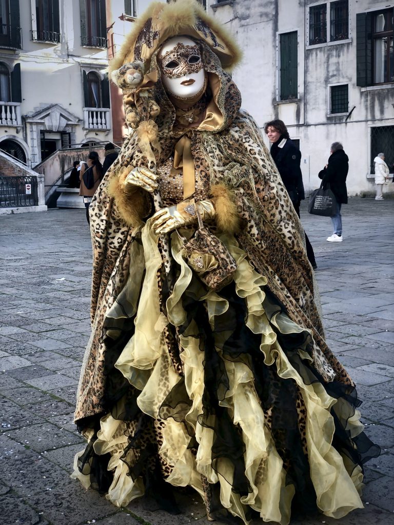Venice Carnival costume