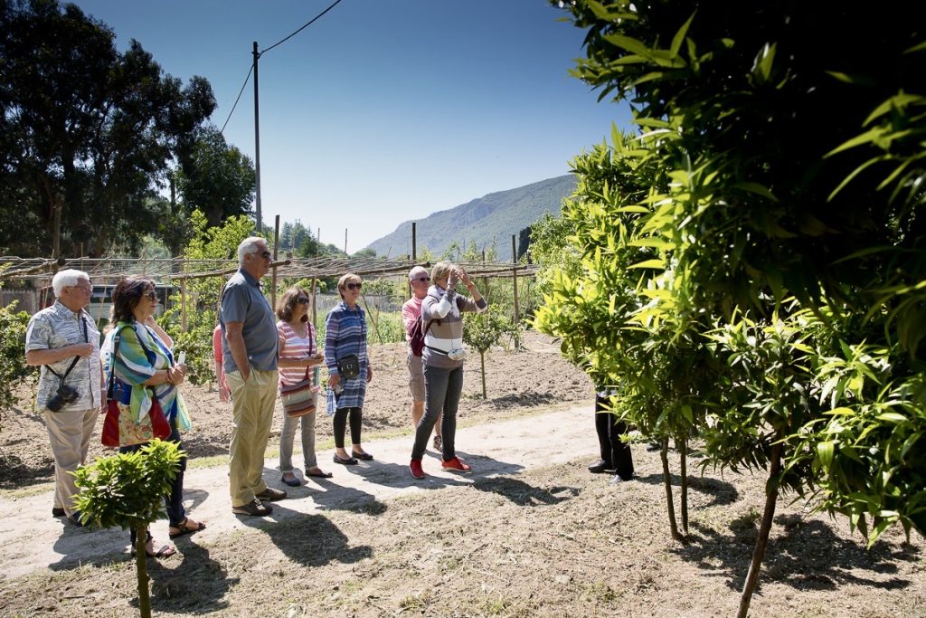 Finalborgo and Chinotto visit
