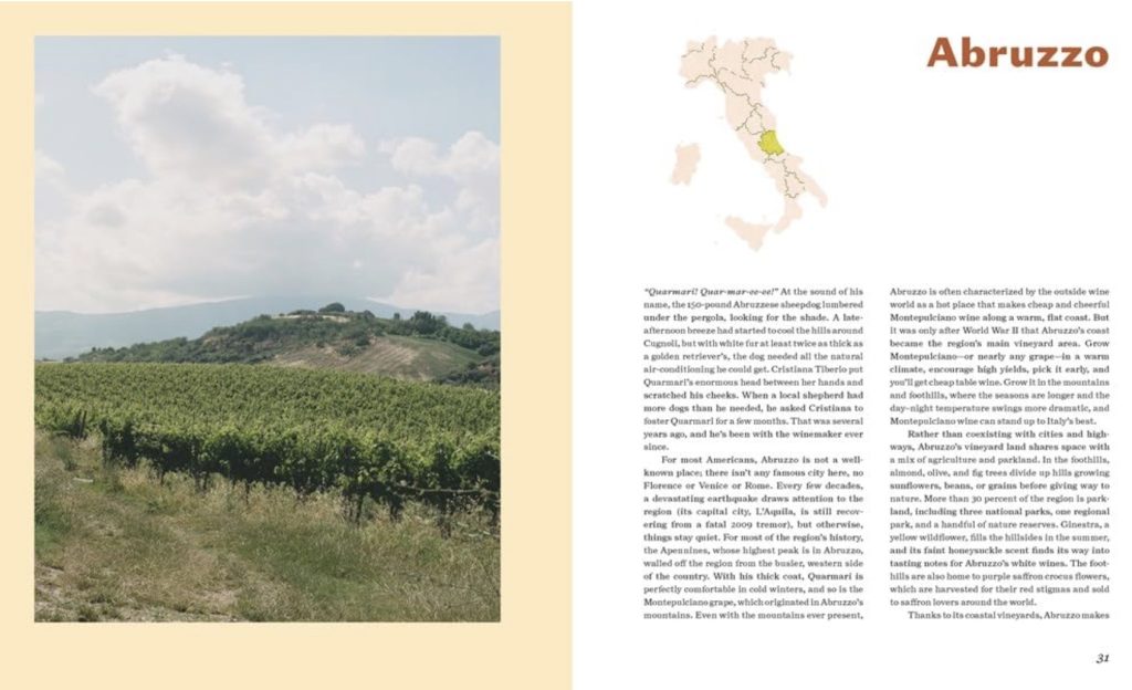 Abruzzo Italian wine