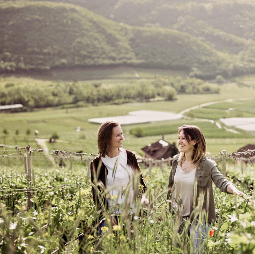 Vigna "Castel Ringberg"