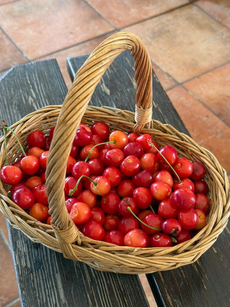 basket cherries